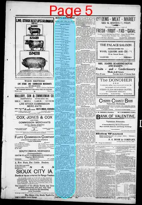 Page thumbnail for Western News Democrat