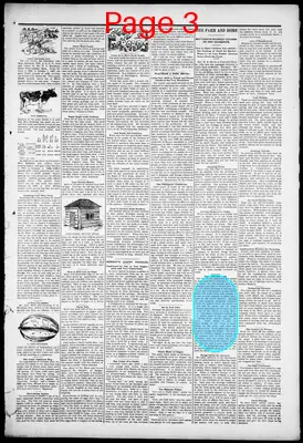 Page thumbnail for Western News Democrat
