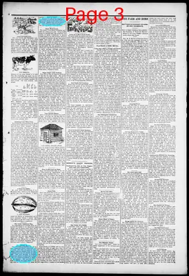 Page thumbnail for Western News Democrat