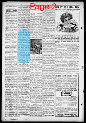 Page thumbnail for Valentine Democrat