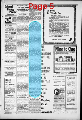 Page thumbnail for Valentine Democrat