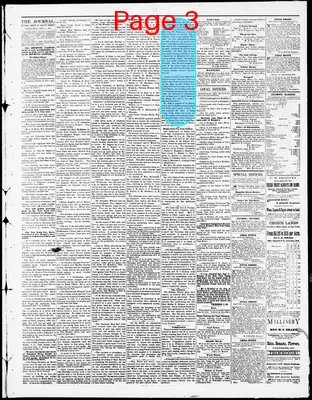 Page thumbnail for The Columbus Journal