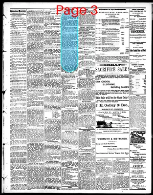 Page thumbnail for The Columbus Journal