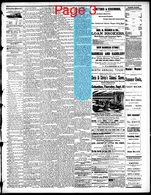 Page thumbnail for The Columbus Journal
