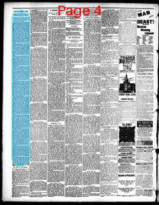 Page thumbnail for The Columbus Journal
