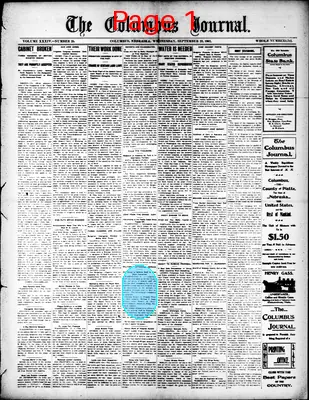 Page thumbnail for The Columbus Journal