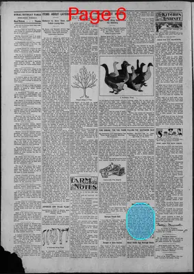Page thumbnail for Rural Retreat Times