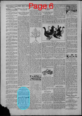 Page thumbnail for Rural Retreat Times