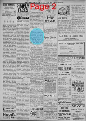 Page thumbnail for The Roanoke Times