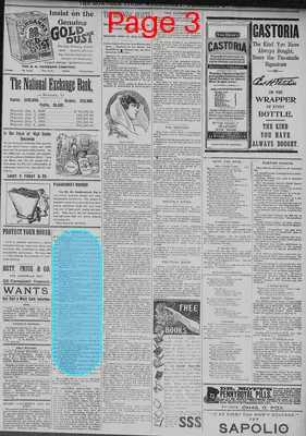 Page thumbnail for The Roanoke Times