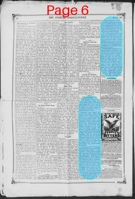 Page thumbnail for The Florida Agriculturist