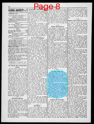 Page thumbnail for The Florida Agriculturist