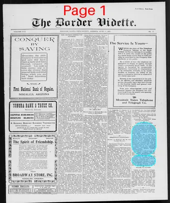 Page thumbnail for The Border Vidette