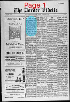 Page thumbnail for The Border Vidette