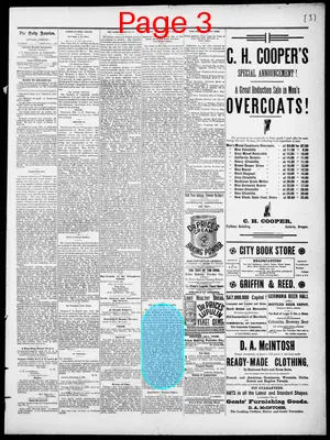 Page thumbnail for The Daily Morning Astorian