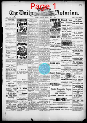 Page thumbnail for The Daily Morning Astorian