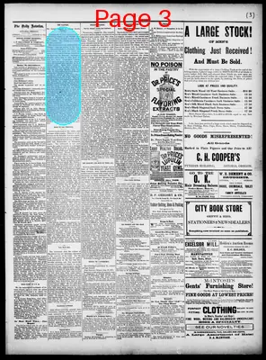 Page thumbnail for The Daily Morning Astorian