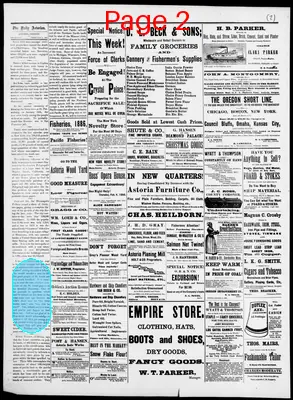Page thumbnail for The Daily Morning Astorian