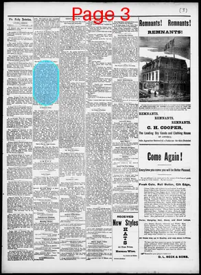 Page thumbnail for The Daily Morning Astorian