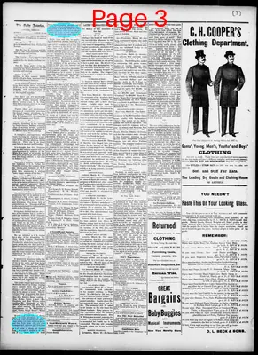 Page thumbnail for The Daily Morning Astorian