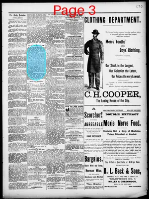 Page thumbnail for The Daily Morning Astorian