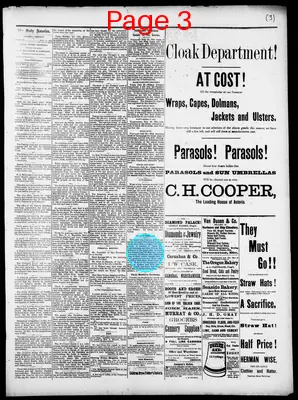Page thumbnail for The Daily Morning Astorian