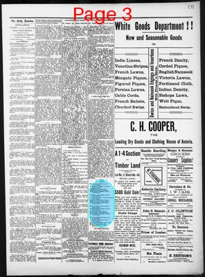 Page thumbnail for The Daily Morning Astorian
