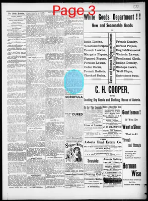 Page thumbnail for The Daily Morning Astorian