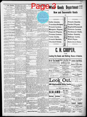 Page thumbnail for The Daily Morning Astorian