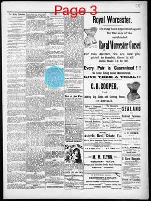 Page thumbnail for The Daily Morning Astorian