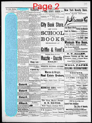Page thumbnail for The Daily Morning Astorian