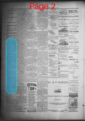 Page thumbnail for The Daily Morning Astorian
