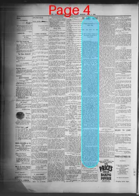 Page thumbnail for The Daily Morning Astorian