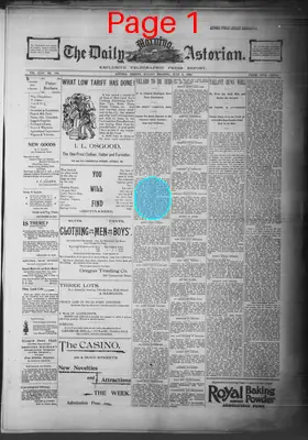 Page thumbnail for The Daily Morning Astorian