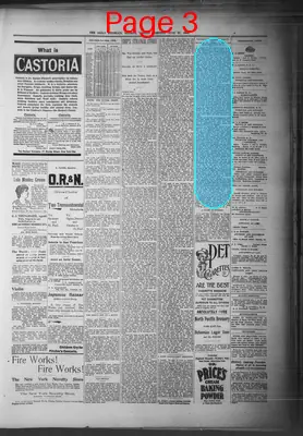 Page thumbnail for The Daily Morning Astorian