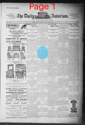 Page thumbnail for The Daily Morning Astorian