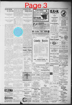 Page thumbnail for The Daily Morning Astorian