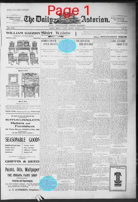 Page thumbnail for The Daily Morning Astorian