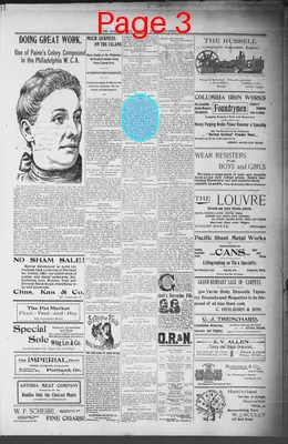 Page thumbnail for The Daily Morning Astorian
