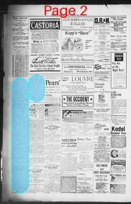 Page thumbnail for The Daily Morning Astorian