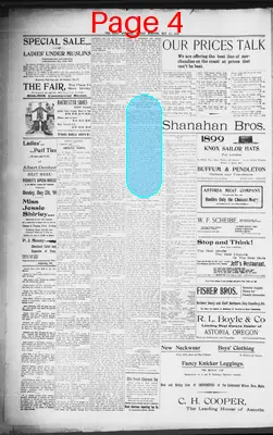 Page thumbnail for The Daily Morning Astorian