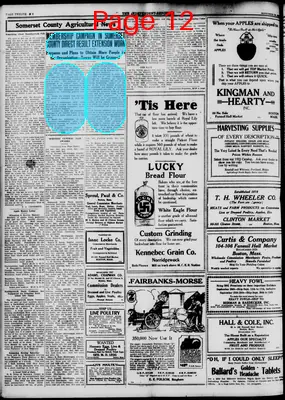 Page thumbnail for The Independent Reporter