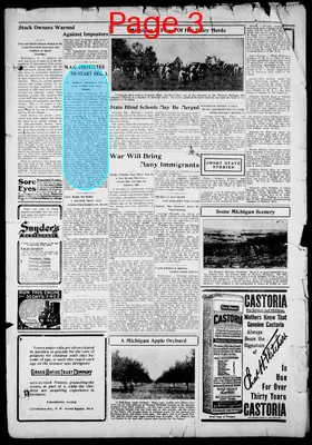 Page thumbnail for Charlevoix County Herald