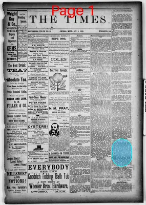 Page thumbnail for The Times