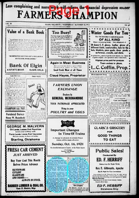 Page thumbnail for Farmers' Champion