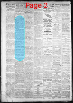 Page thumbnail for Daily Nashville Patriot