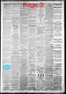 Page thumbnail for Daily Nashville Patriot