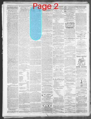 Page thumbnail for Daily Nashville Patriot