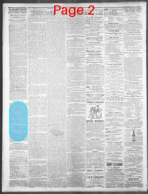 Page thumbnail for Daily Nashville Patriot
