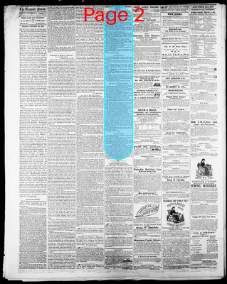 Page thumbnail for Daily Nashville Patriot
